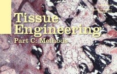 Tissue Engineering, Part C: Methods