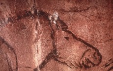 Prehistoric Cave Art Of Horse, France