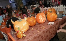 Halloween Pumpkins