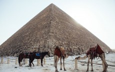 Tourism Down As Cairo Struggles After Months Of Violence 