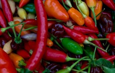 Chili on Display