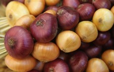 Ovarian cancer and onion compounds