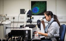 Research Into Cancer Conducted At The Cancer Research UK Cambridge Institute