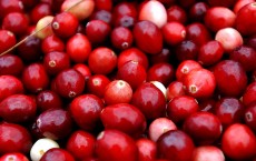 Cranberries