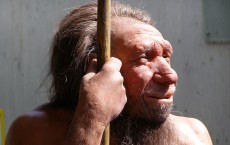 Neanderthal