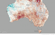 surface temperature (LST) anomalies for Australia january 2013