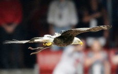 Detroit Lions v Houston Texans 