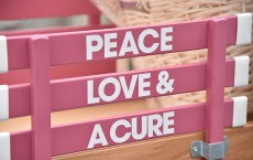 2016 Peace, Love & A Cure Triple Negative Breast Cancer Foundation Benefit