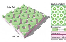 evolution-inspires-more-efficient-solar-cell-design