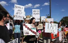 Memorial And Protest Held At Office Of Minnesota Dentist That Killed Famed Lion In Zimbabwe