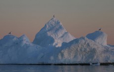 Greenland: A Laboratory For The Symptoms Of Global Warming 