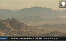 Jordan's Black Desert May Hold Key To Earth's First Farmers