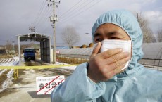 Poultry Farm Quarantined In South Korea