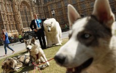 Greenpeace Protest Over The Government's Broken Environmental Promises 