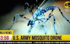 Remote-Controlled Military Nano Drones Based On Nanophotonics