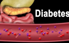 Diabetes Treatment Found