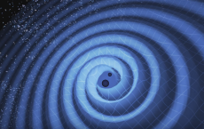 Echoes In The Gravitational Waves Of Black Holes?