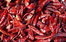 Chile Peppers