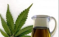 CBD Oil, Marijuana And All Other Cannabis Products Are Federally Illegal