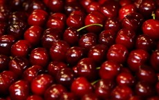 Annual Cherry Auction Held At Sydney Markets 