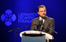 Leonardo DiCaprio