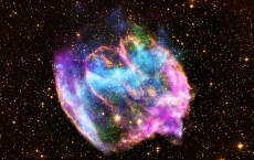 Supernova black hole