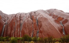 Scenes From Uluru Still Captivating Tourists 