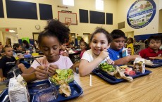 School Lunch