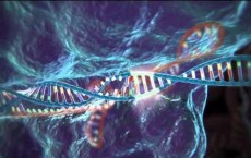 Band-Aid For Genes: Modified EXACT CRISPR/Cas9 Gene Editing Technique