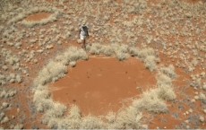 Fairy Circles