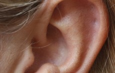 Ear 