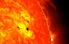 Fast-growing Sunspot