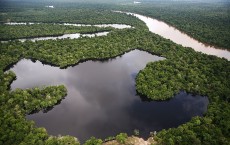 Northern Amazon