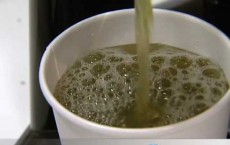 Green Tea Cures Cancer And Bone Marrow Disease