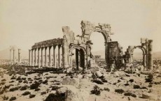 Palmyra