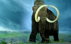 Mammoth