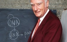 Francis Crick, Nobel Prize winner for figuring out the double-helix structure of DNA.