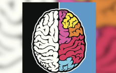 Are You Right-Brained Or Left-Brained?