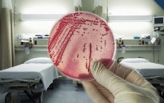 Hospital Bacteria Outbreaks