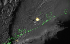 First Images From GOES-16 Lightning Mapper