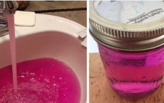 Pink Water Shocks Town