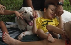 Animals Help Autistic Kids Interact Better: Study