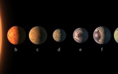 TRAPPIST-1 System 