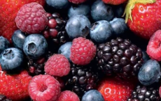 Should We Avoid Frozen Fruits & Vegetables?