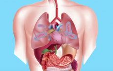 Tuberculosis Diagnosis, Treatments