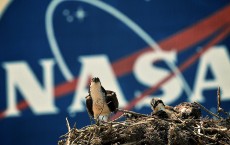 NASA Prepares For Final Launch Of Space Shuttle Endeavour