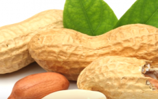 5 Best Health Benefits of Peanuts