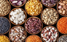 Difference Between Legumes And Beans