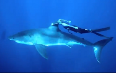 Ocean Ramsey