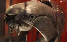 Dunkleosteus